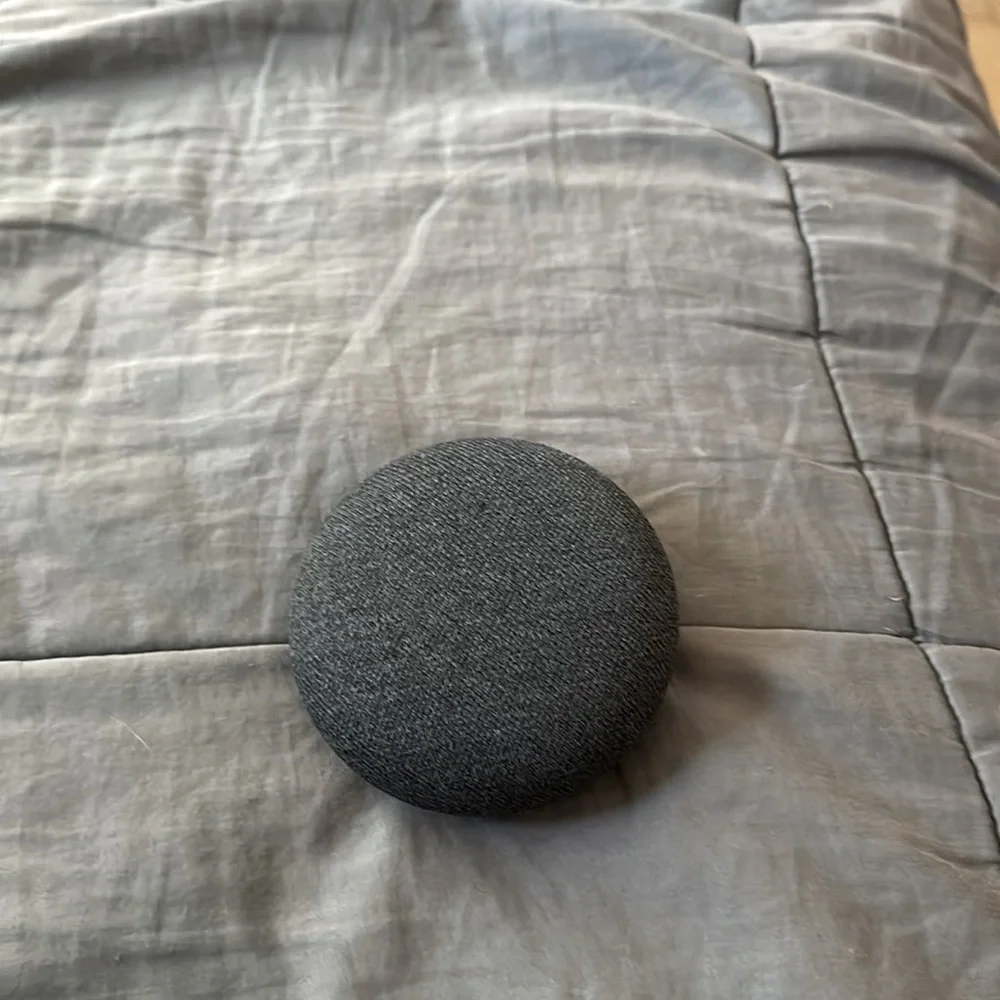 Google home mini
